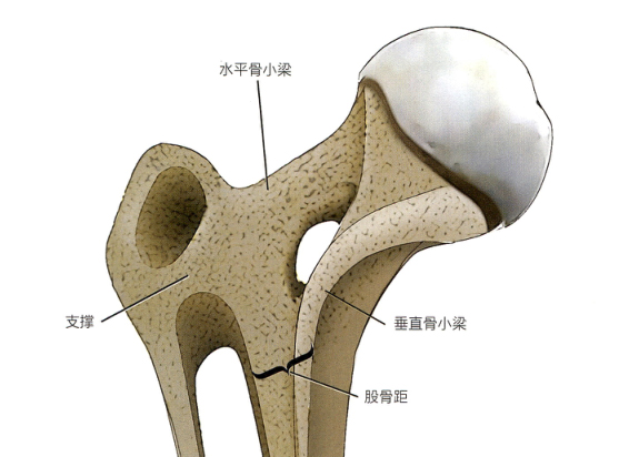 1702007112142483.jpg 1.jpg