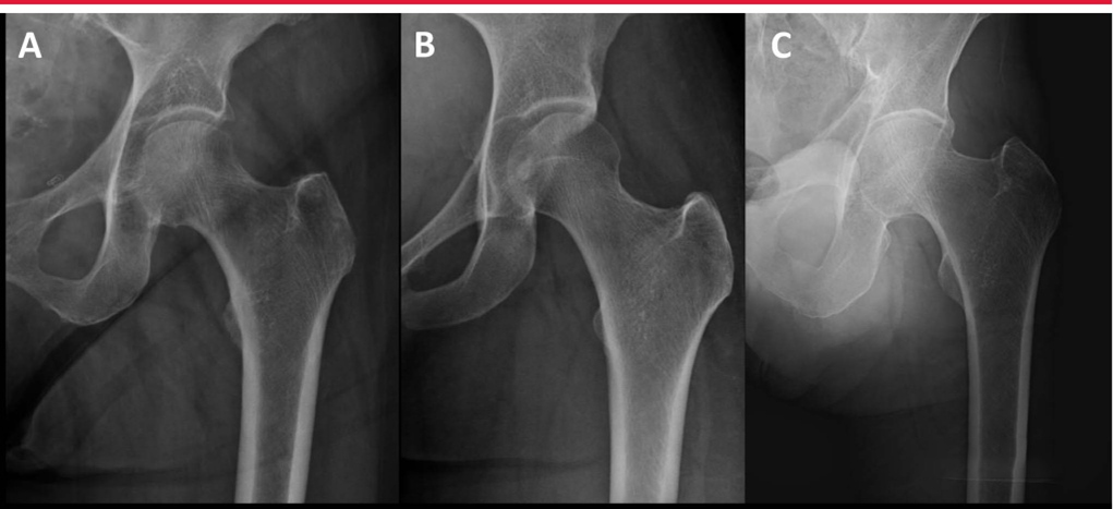 1702007148116427.jpg 2.jpg