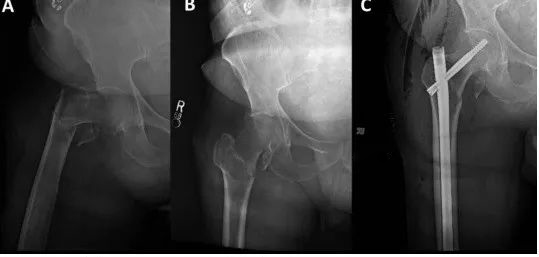 1702007169166567.jpg 3.jpg