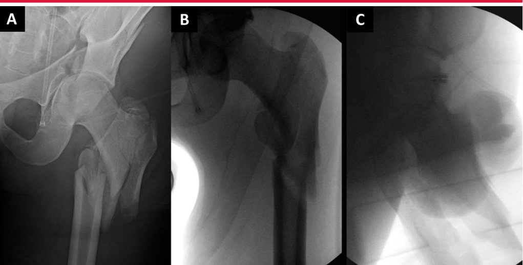 1702007257202692.jpg 5.jpg