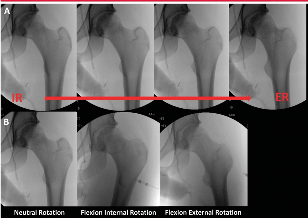 1702007354482827.jpg 7.jpg