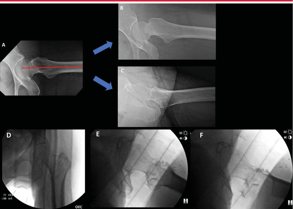 1702007391115983.jpg 8.jpg