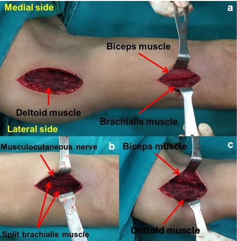 1721894873127931.png 4.png